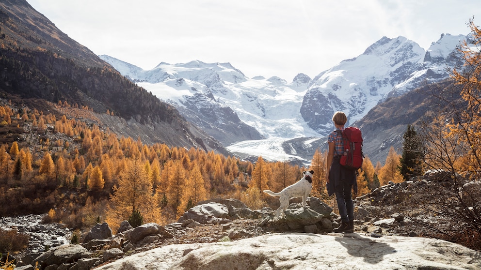 Frau und Hund wandern – Infos rund um Haustiere gibt es bei PETBOOK