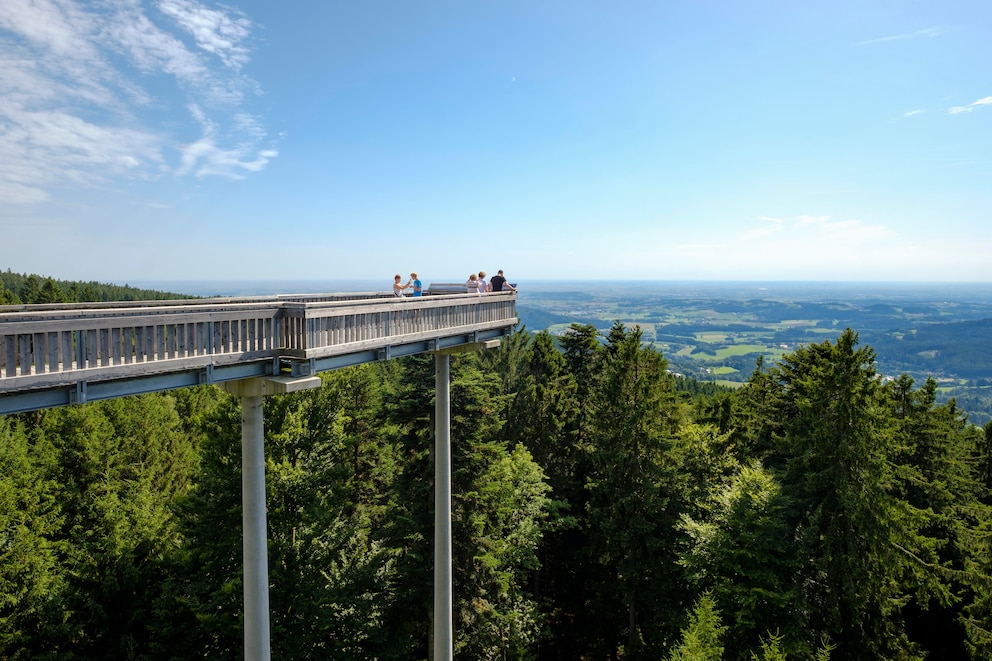 Baumwipfelpfade Deutschland