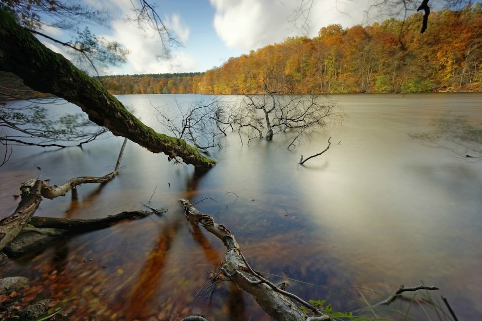 Autumn