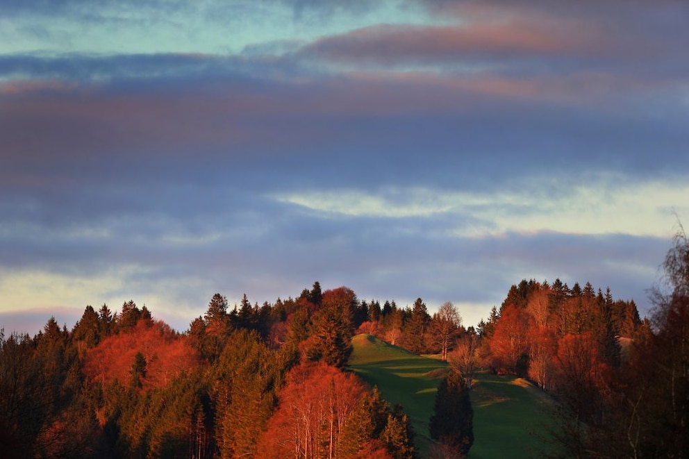 Autumn