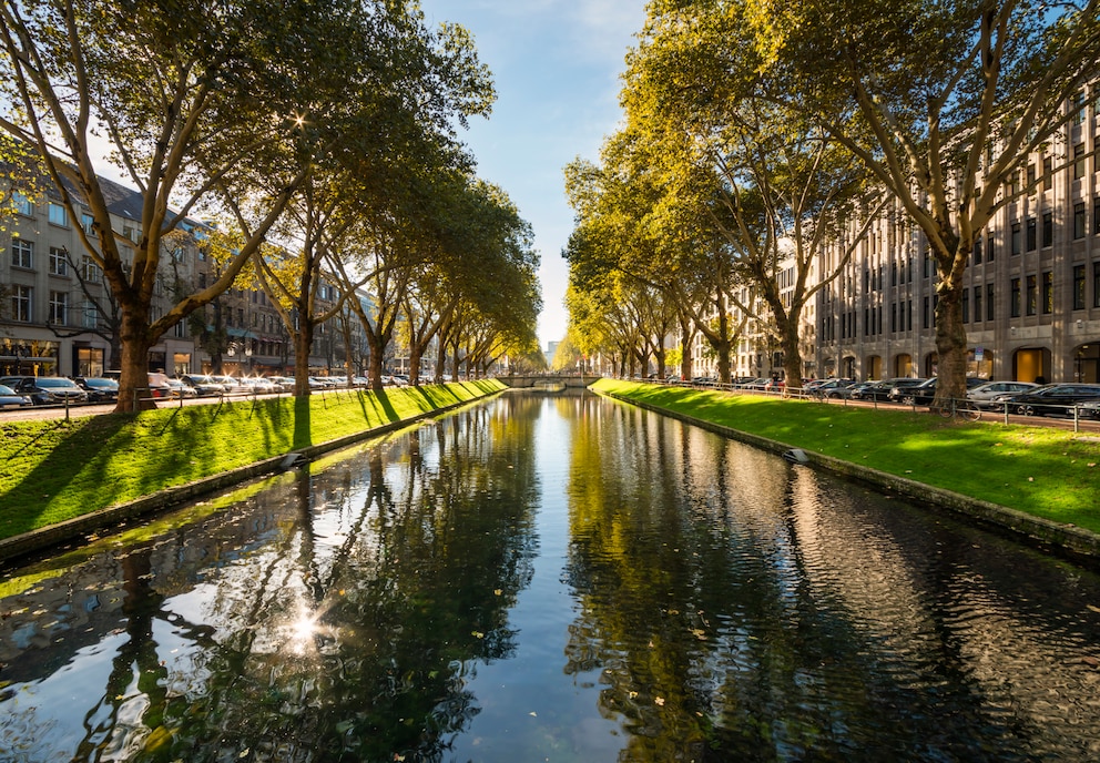 Der Kanal und die umliegenden Bäume befinden sich inmitten der Königsallee