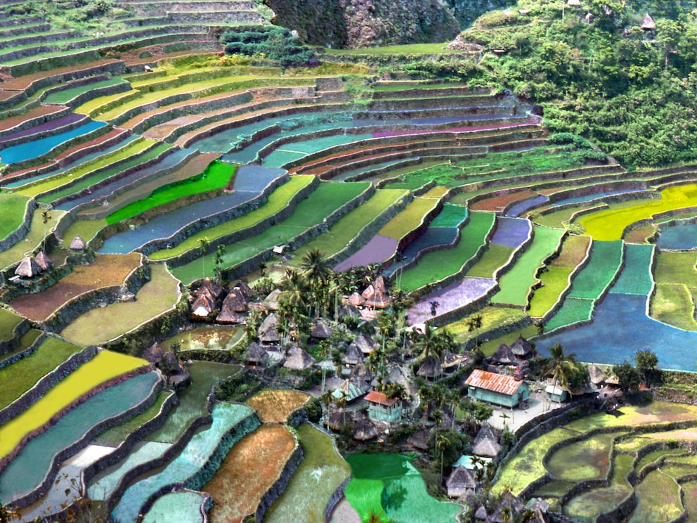 Blick auf das Highlight von Luzon: die Reisterrassen von Banaue