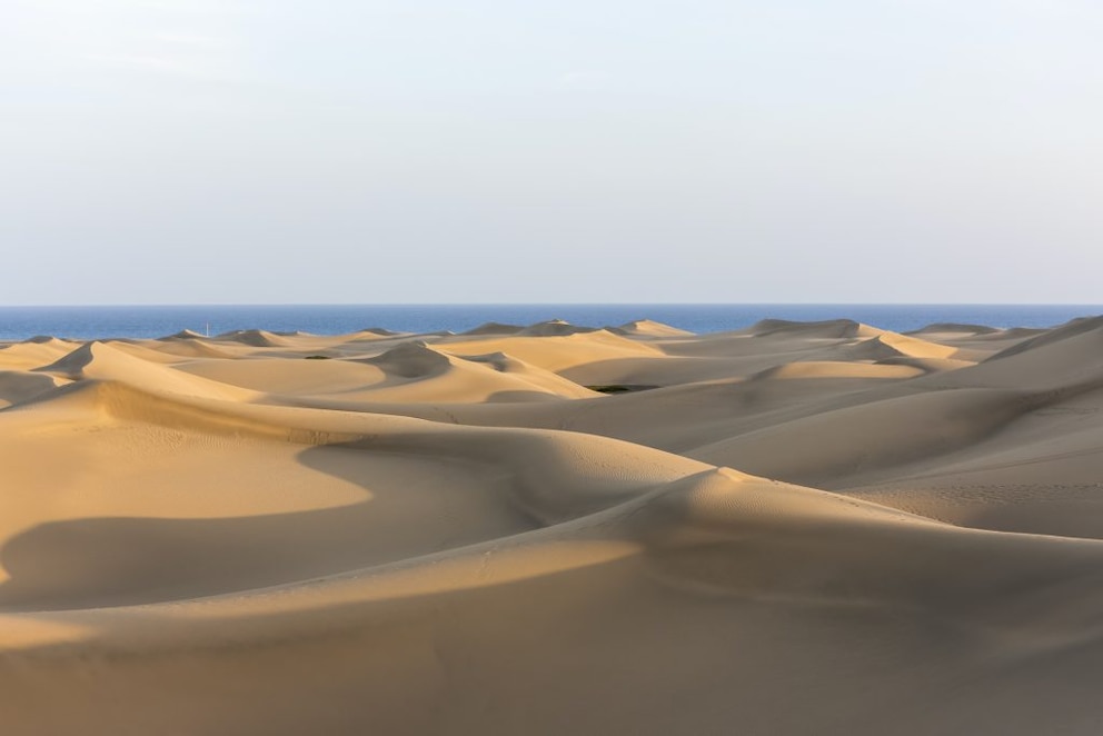 The Sand Dunes of Maspalomas