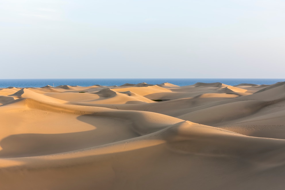 Die Sanddünen von Maspalomas