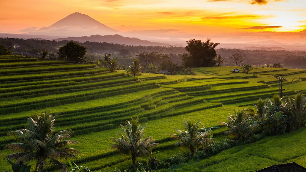 Bali Einreise