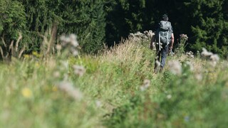 Harz illegale Wanderwege