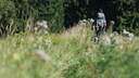 Harz illegale Wanderwege