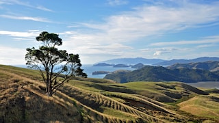 Die Coromandel-Halbinsel auf der neuseeländischen Nordinsel bezaubert mit viel unberührter Natur