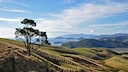 Die Coromandel-Halbinsel auf der neuseeländischen Nordinsel bezaubert mit viel unberührter Natur