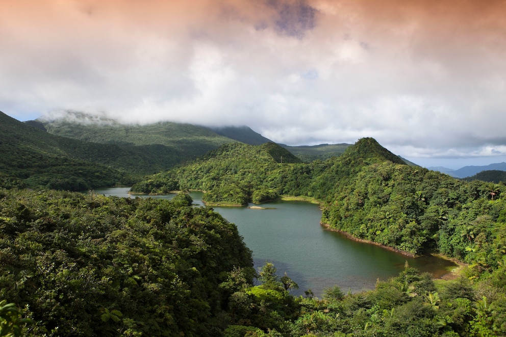 Der Nationalpark Morne Trois Pitons auf der karibischen Insel Dominica