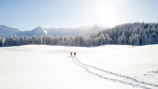 Nicht nur Urlauber in Tirol fragen sich: Wieso ist Schnee eigentlich weiß und nicht durchsichtig?