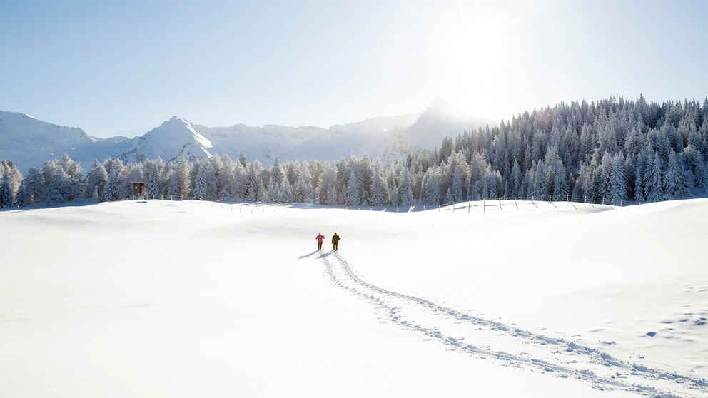 Nicht nur Urlauber in Tirol fragen sich: Wieso ist Schnee eigentlich weiß und nicht durchsichtig?