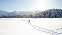 Nicht nur Urlauber in Tirol fragen sich: Wieso ist Schnee eigentlich weiß und nicht durchsichtig?