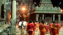 Die Stadt Tiruvannamalai ist ein spirituelles Zentrum in Indien, eine Reise lohnt sich aus vielen Gründen