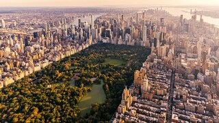 Der Central Park in New York ist der perfekte Ort, um der Hektik der Großstadt zu entkommen