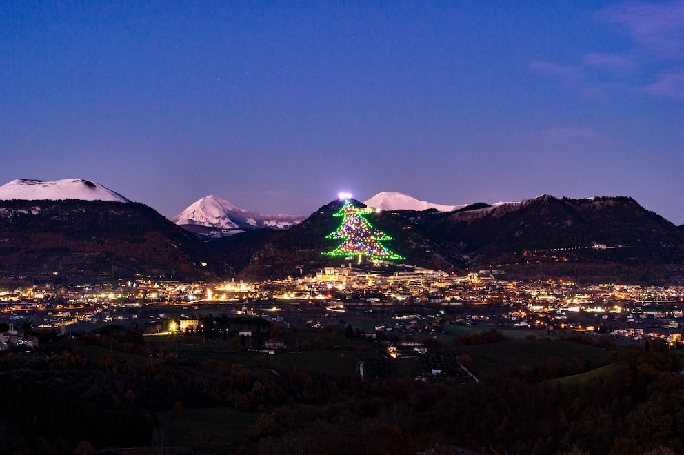 Größter Weihnachtsbaum der Welt