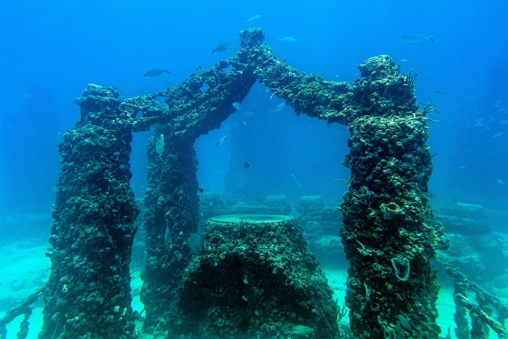 Neptune Memorial Reef