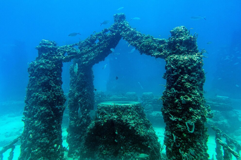 Neptune Memorial Reef