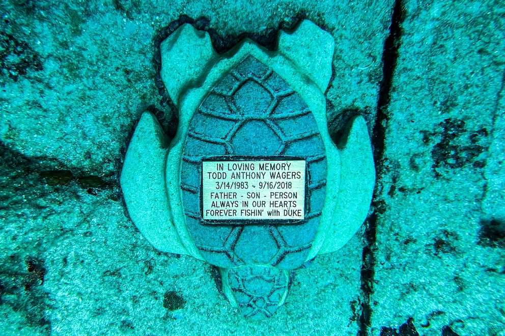 Neptune Memorial Reef