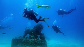 Neptune Memorial Reef