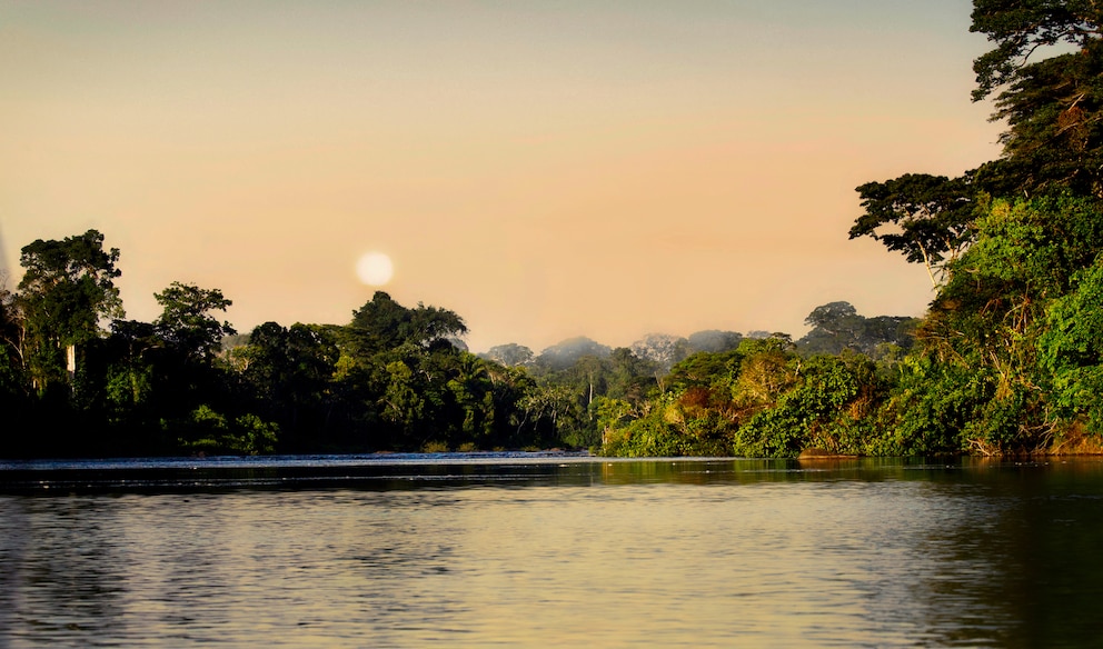 Suriname begeistert mit spannender Natur und dichtem Dschungel