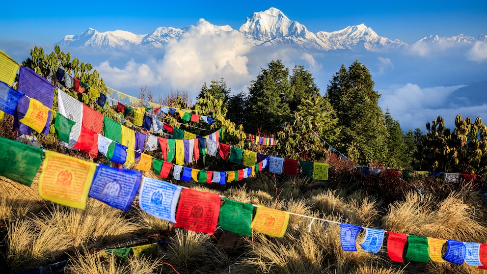 Tibetische Gebetsfahnen auf dem Poon Hill mit Ausblick auf die Spitze des siebthöchsten Bergs der Welt, Dhaulagiri, im Hintergrund
