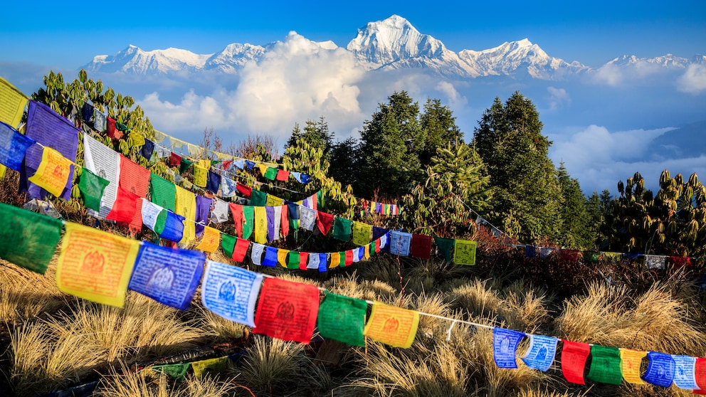 Tibetische Gebetsfahnen auf dem Poon Hill mit Ausblick auf die Spitze des siebthöchsten Bergs der Welt, Dhaulagiri, im Hintergrund
