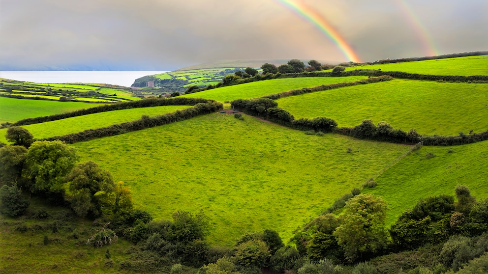 Typisch Irland: Satte grüne Landschaften, über die sich Regenbögen in den Himmel zeichnen