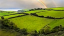 Typisch Irland: Satte grüne Landschaften, über die sich Regenbögen in den Himmel zeichnen
