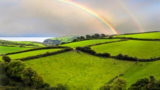 Typisch Irland: Satte grüne Landschaften, über die sich Regenbögen in den Himmel zeichnen