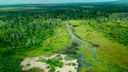 In der Republik Kongo gibt es mehrere Nationalparks, hier der Odzala-Kokoua National Park