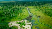 In the Republic of Congo there are more National Parks, here the Odzala-Kokoua National Park