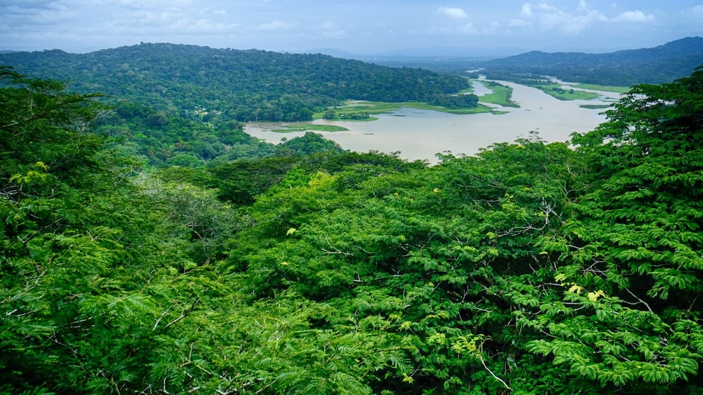 Der Dschungel von Panama birgt einige Herausforderungen