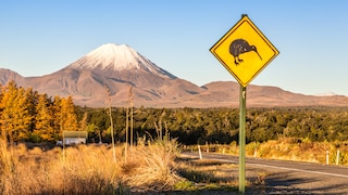 Kiwi-Schild im Tongariro National Park auf der Nordinsel in Neuseeland
