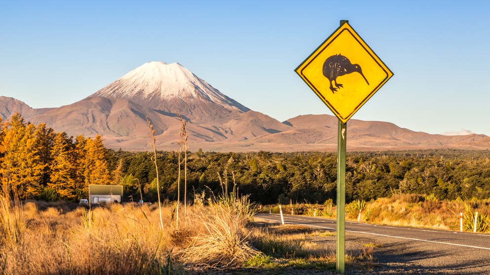 Kiwi-Schild im Tongariro National Park auf der Nordinsel in Neuseeland