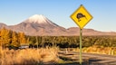Kiwi-Schild im Tongariro National Park auf der Nordinsel in Neuseeland