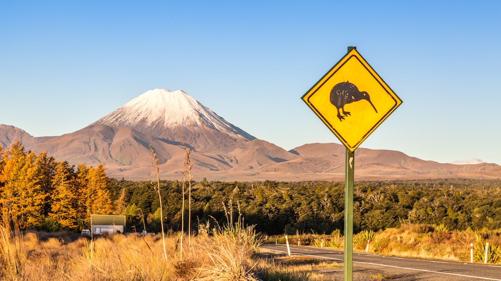 Kiwi-Schild im Tongariro National Park auf der Nordinsel in Neuseeland