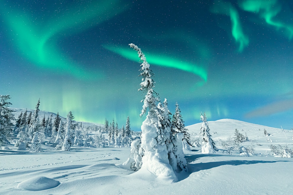 Die Nordlichter sind wunderschön, wer sie sehen will, braucht aber oft Geduld