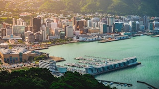 Blick auf Wellington, die Hauptstadt von Neuseeland