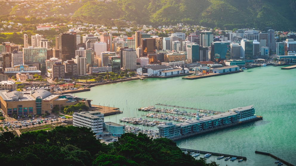 Blick auf Wellington, die Hauptstadt von Neuseeland