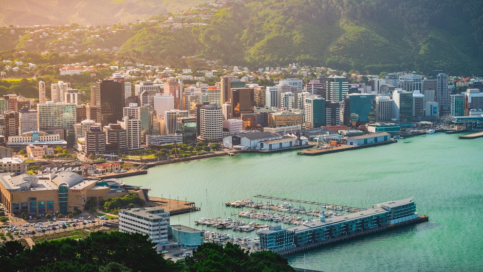 Blick auf Wellington, die Hauptstadt von Neuseeland