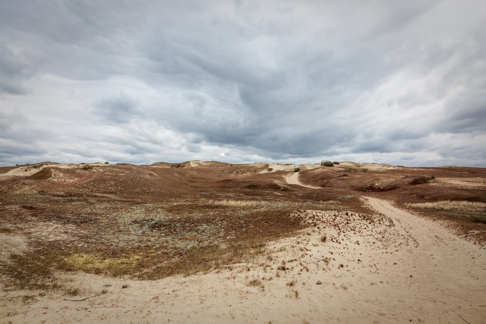 Man nennt die Dünen auch die „Preußische Sahara“