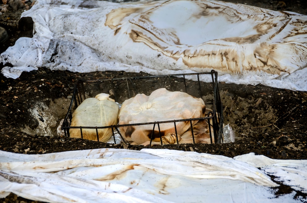 Beim traditionellen Hāngī wird das Essen in der Erde zubereitet