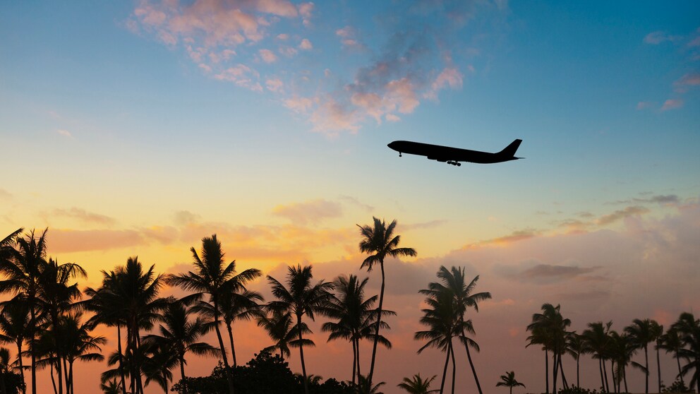 beste Ferienflieger