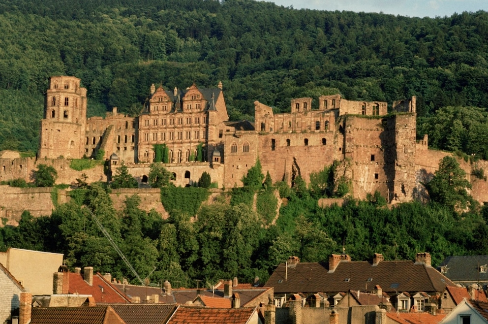 Schloss Heidelberg