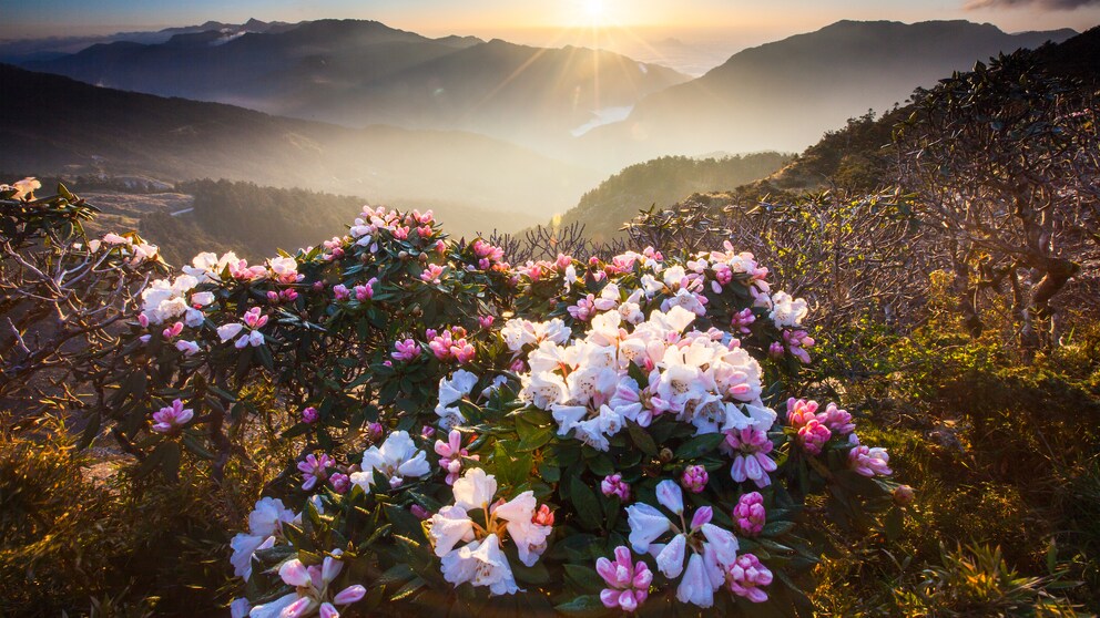 Taiwan Geld Urlaub