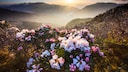Taiwan Geld Urlaub