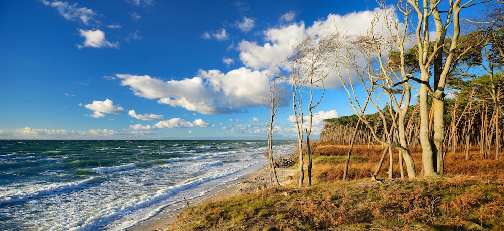 Der Weststrand auf der Halbinsel Fischland-Darß-Zingst