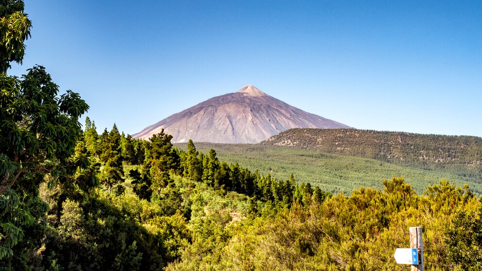 Teneriffa Urlaub