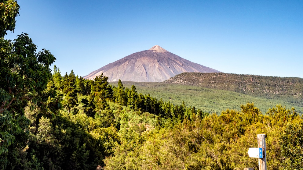 Teneriffa Urlaub